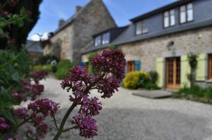 ein Haus mit lila Blumen vor einem Hof in der Unterkunft Ti Dour - Gîte de charme à la campagne - côte de granit rose in Bégard