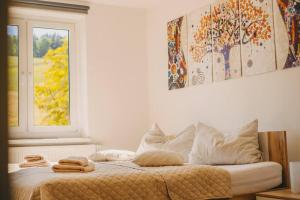 una camera da letto con letto, cuscini e finestra di Franzis Feriendomizil im Herzgebirge am Skihang a Auerbach