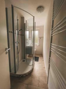 ein Bad mit einer Dusche, einem Waschbecken und einem Spiegel in der Unterkunft Franzis Feriendomizil im Herzgebirge am Skihang in Auerbach