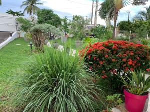 un jardín con flores rojas y plantas en un patio en Villa Ti'Kemy avec piscine au sel en Le Lamentin