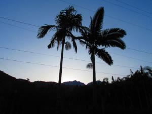 two palm trees in front of the sunset at Refúgio dos Valdenses in Morretes +238 photos