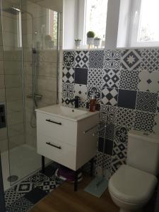 a bathroom with a sink and a shower and a toilet at Le logis du mineur Chez Agnès et Joël in Staffelfelden