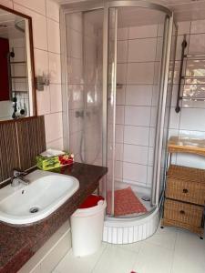 La salle de bains est pourvue d'une baignoire, d'un lavabo et d'une douche. dans l'établissement Traumhafte Maisonette-Wohnung im Schwarzwald, à Freudenstadt