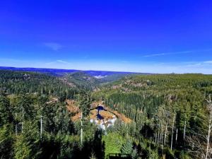 Vue aérienne d'une maison au milieu d'une forêt dans l'établissement Traumhafte Maisonette-Wohnung im Schwarzwald, à Freudenstadt