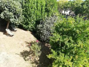 eine Aussicht über einen Garten mit Bäumen und Sträuchern in der Unterkunft Déjeuner au bord de l'eau in Sommières