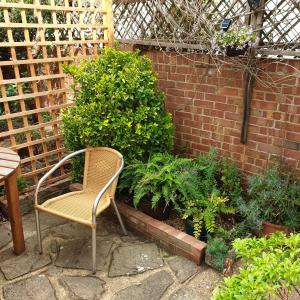 a chair sitting in a garden with plants at Beachfront Studio in Pevensey