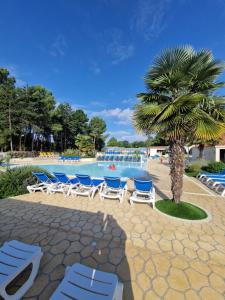 a pool with lounge chairs and a palm tree at spacieux mobil-home 3 ch in Saint-Jean-de-Monts