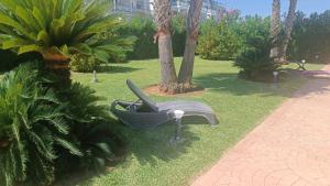 A garden outside MET&GOLF OLIVA NOVA BEACH JARDIN