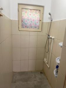 a bathroom with a shower and a window at La Cico 2 in Dubova