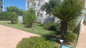 A garden outside MET&GOLF OLIVA NOVA BEACH JARDIN