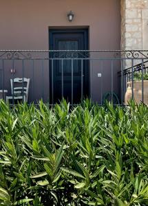 Vonkajšia záhrada v ubytovaní Olive Coast Suites