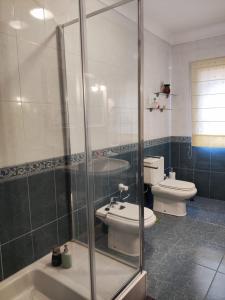 a bathroom with a shower and a toilet and a sink at Mito's House & Douro View in Peso da Régua