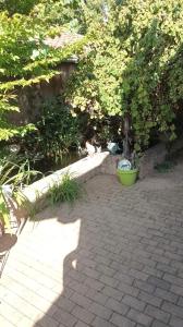 une ombre d'un chat assis sur un patio dans l'établissement Garden Duplex, à Sundhoffen