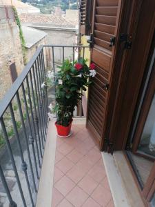 A balcony or terrace at Casa Domenico Még 14 kép