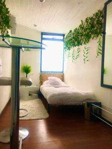 Habitación con cama con plantas en la pared en Casa Santa Margarita, en Bogotá