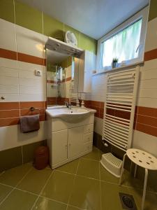 Apartma Slivnik في Spodnje Gorje: حمام مع حوض ومرآة