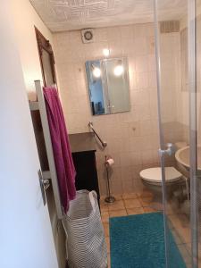 ein kleines Badezimmer mit Toilette und Waschbecken in der Unterkunft Entre Puy-de-Dôme et Corrèze Appartement pour 4 personnes avec terrasse et jardin in Monestier-Merlines