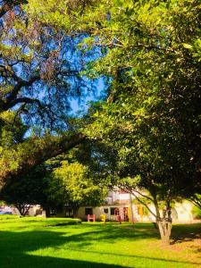 ボゴタにあるCasa Santa Margaritaの草原の木 +14枚の写真