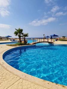 a large blue swimming pool with palm trees and umbrellas at Coral hills North Coast كورال هيلز الساحل الشمالي in El Dab‘a