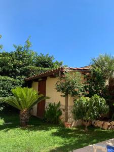 una casa con un patio con árboles y plantas en taverna Anto en Varcaturo