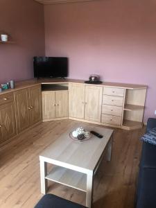 TV a/nebo společenská místnost v ubytování Ferienwohnung Klosterblick + 14 fotografií
