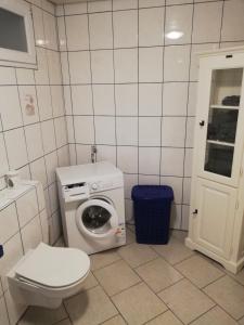 y baño con aseo y lavadora. en Ferienwohnung Klosterblick, en Bastheim