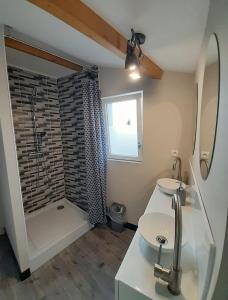 a bathroom with a shower and a sink and a toilet at Galta des Matrus Appartement cosy 8kms de l Océan in Grues