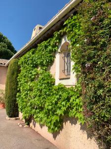 un bâtiment recouvert de lierre vert et doté d'une fenêtre dans l'établissement Villa ANOLPA, à Vence
