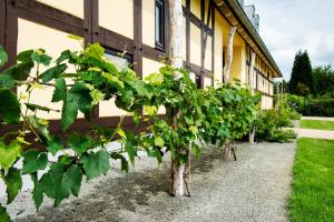 a row of trees in front of a building at Quartier Rautenstock GbR in Doberlug-Kirchhain