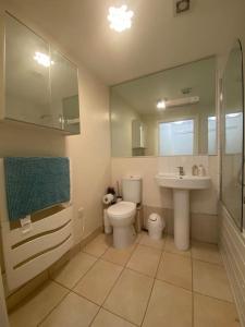 y baño con aseo, lavabo y ducha. en Comfy 2 bed Flat with free Parking, close to Tube, en Woolwich