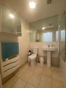 a bathroom with a toilet and a sink and a shower at Comfy 2 bed Flat with free Parking, close to Tube in Woolwich