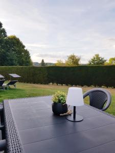 a table with a lamp and a pot of flowers on it at L'Essentiel à Francorchamps in Francorchamps
