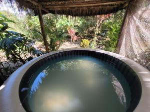 a close up of a swimming pool in a backyard at Mindo GlamBird Glamping & Lodge in Mindo