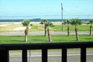 una vista de las palmeras a un lado de la carretera en Knights Inn Corpus Christi, en Corpus Christi