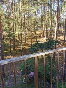 a view of a forest from a balcony at Nostalgija2 in Nida