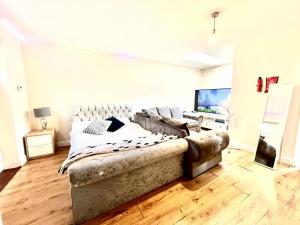 a living room with a couch and a television at Lt Properties Luton town centre studio Tv Netflix Ground Floor 2 in Luton