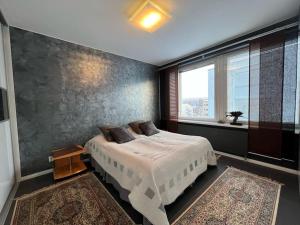 Postel nebo postele na pokoji v ubytování Majestic Penthouse With Sauna & High-Speed Wi-fi and Parking