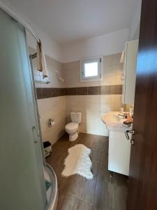 Baño pequeño con aseo y lavamanos en Private Country-House, en Keratokampos