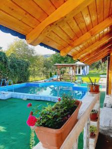 a swimming pool with a wooden pergola and some flowers at CAZARE LA ESPAÑOLA in Haţeg