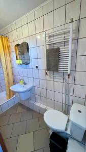 Kúpeľňa v ubytovaní Kaszuby, agroturystyka z alpakami- pokój z łazienką