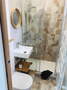 a bathroom with a shower and a sink and a toilet at Beatrice et Emmanuel Meublé Eiffel in Paris