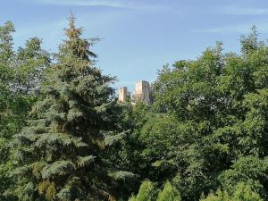 Príroda v okolí apartmánu