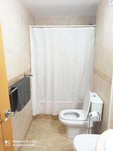 a bathroom with a toilet and a shower curtain at Apartamento Deltebre in Deltebre