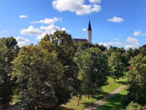 a church steeple in the distance with trees in the foreground at Centrinio parko apartamentai in Šiauliai +7 photos