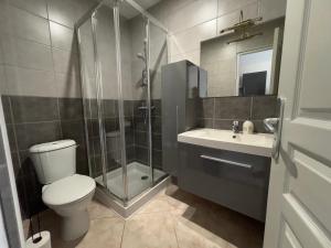 uma casa de banho com um chuveiro, um WC e um lavatório. em La Maison des Pressoirs em Châteauvillain