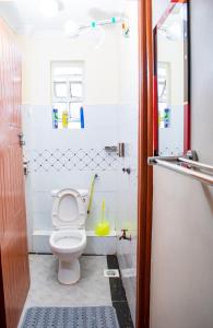 a small bathroom with a toilet and a shower at Nelly fully furnished studios in Naivasha +26 photos