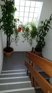 a row of potted plants in a room with stairs at Gasthof Rössle Ochsenwang in Bissingen an der Teck