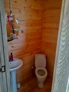 a small bathroom with a toilet and a sink at Hillside Bakhmaro in Chʼkhakoura +11 photos
