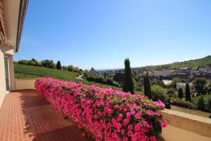 Une rangée de fleurs roses sur le côté d'un bâtiment dans l'établissement Escapade au Bube - Vue exceptionnelle - Nouveau, à Barr