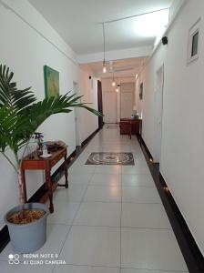 Foto sihtkohas Quatre Bornes asuva majutusasutuse Hello Guest House galeriist